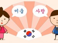 Lộ trình học tiếng Hàn hiệu quả cho người mới bắt đầu
