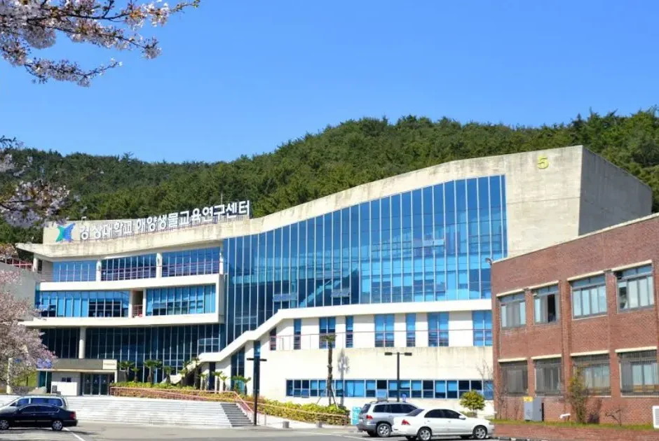 Ảnh Đại học Quốc gia Gyeongsang