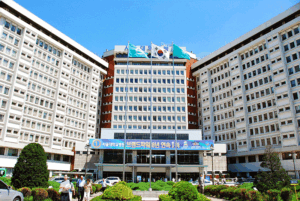 Đại học Quốc gia Seoul - Hàn Quốc