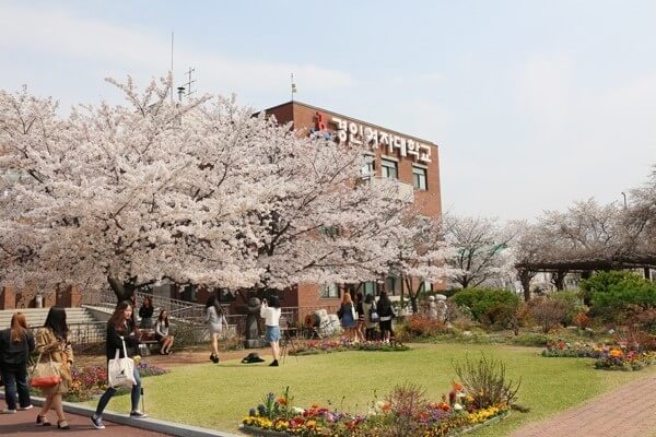 Khuôn viên xanh của trường