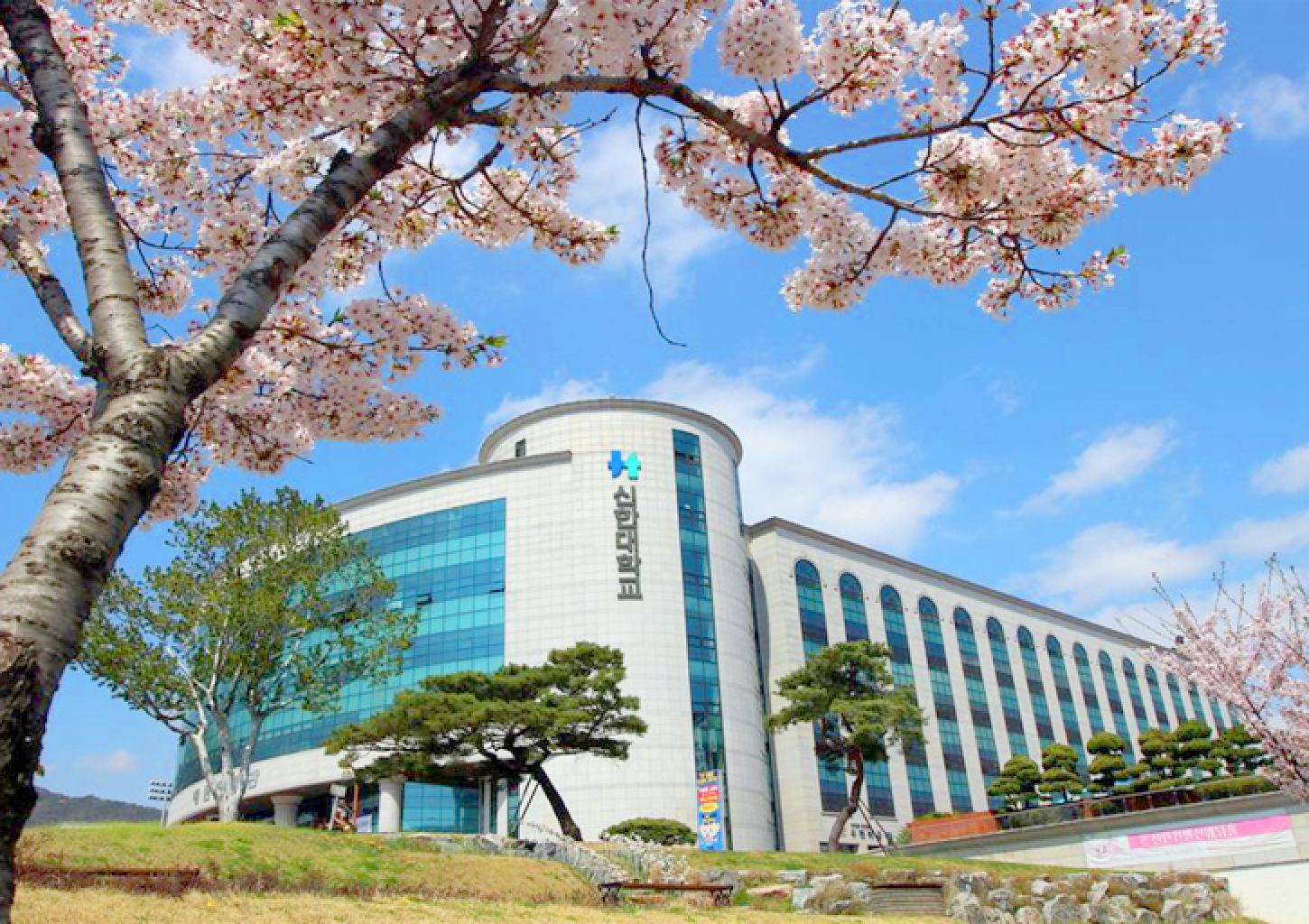 Trường đại học Shinhan