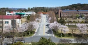 Đại học Tỉnh Jeonnam