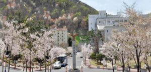 Trường Đại học Changshin mùa hoa nở