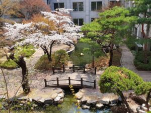 Trường Đại học Nữ sinh Dongduk có cảnh quan rất đẹp