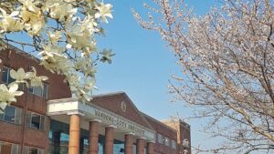 Hoa nở tại trường Đại học Handong