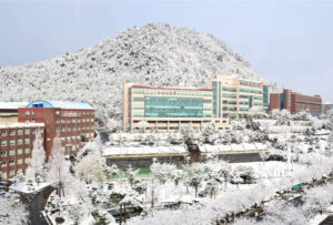 Trường Đại học Sehan