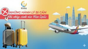 Những thứ bị cấm mang vào Hàn Quốc